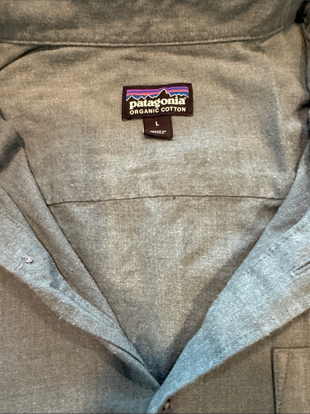 Patagonia Dark Green Button-Down Cotton Shirt